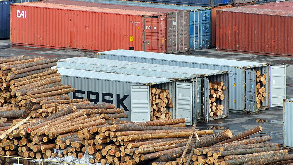 Timber import volumes ‘fractionally ahead’ of 2023 image