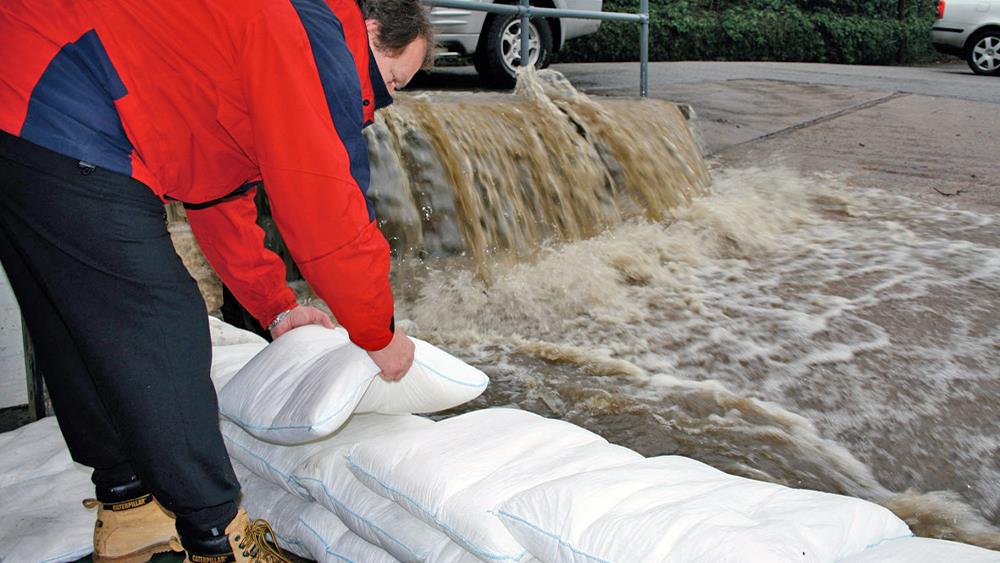 Fernco calls for national flood defence strategy image