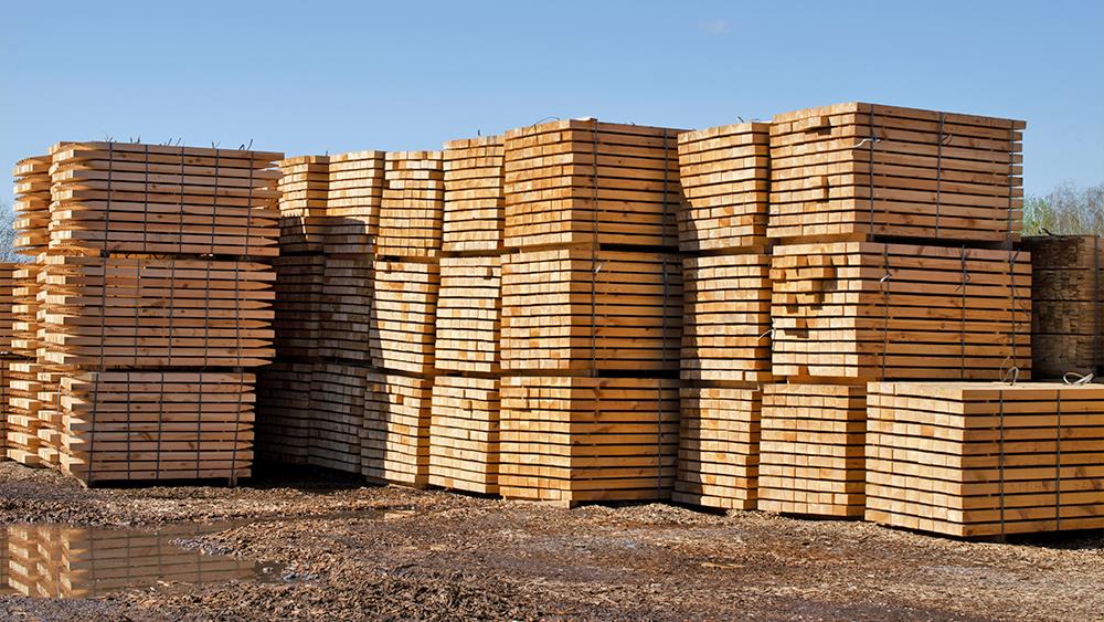 October sees 15% rise in timber import volumes, TDUK reports image