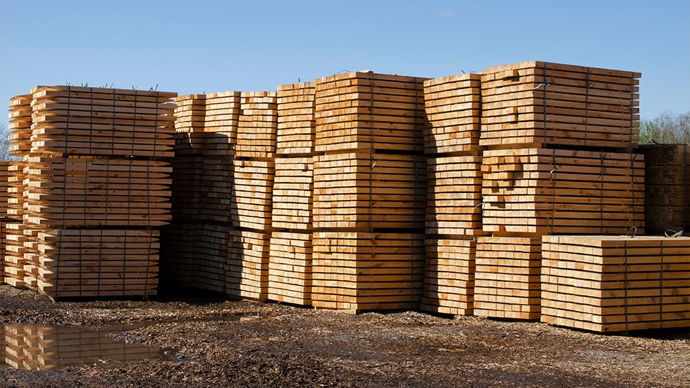 Wood import fluctuations to stabilise in 2024, says TDUK image