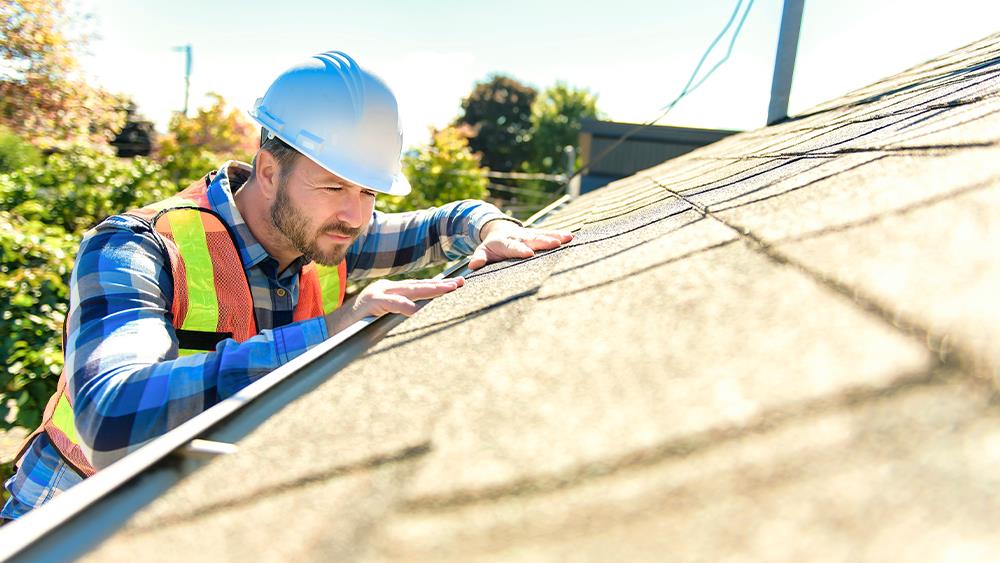 NFRC Roofing survey highlights industry recovery image