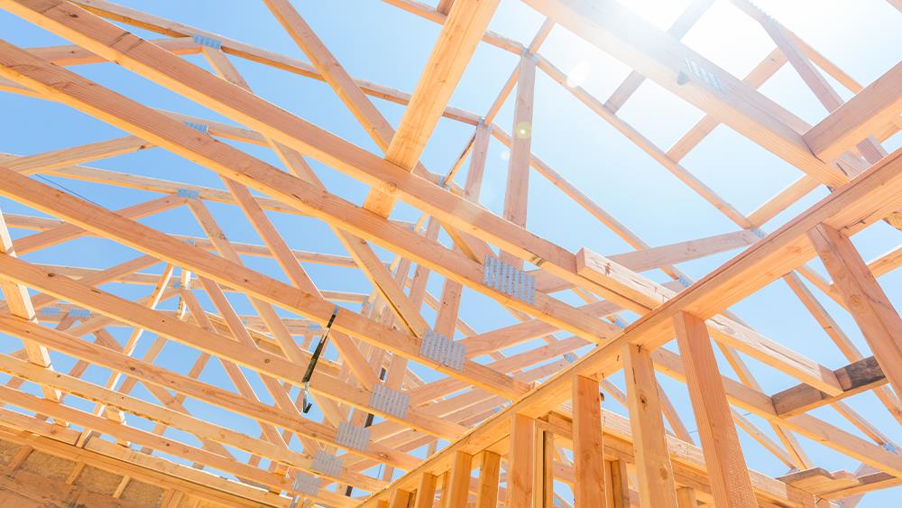 TDUK reports volume rise for softwood, OSB and EWP in Q3 image