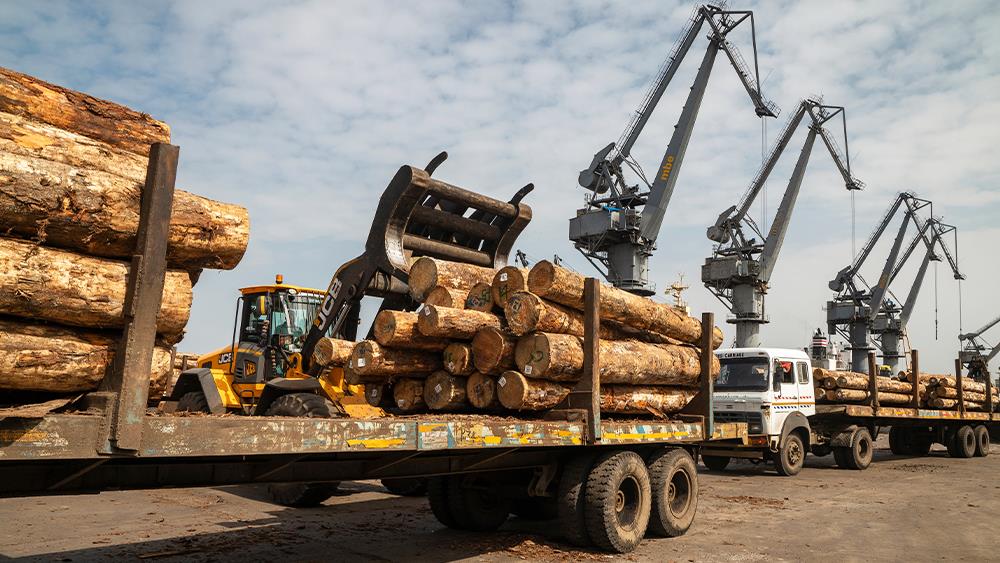 Builders' Merchants News - Volume of timber imports in first quarter ...