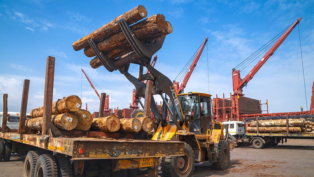 Builders' Merchants News - Timber imports show strong market recovery